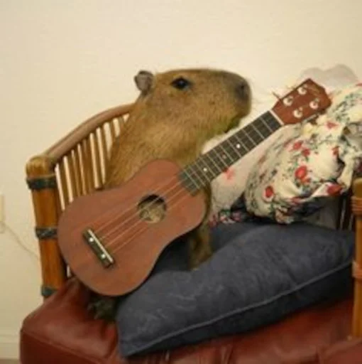 Capybara @MyselfMeandIo - 
