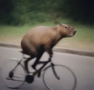 Sticker Capybara @MyselfMeandIo - 9