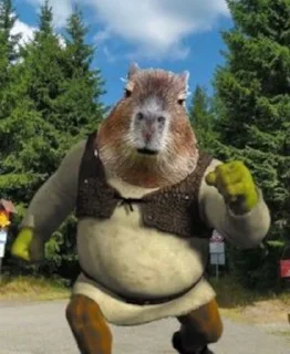 Sticker Capybara @MyselfMeandIo - 8