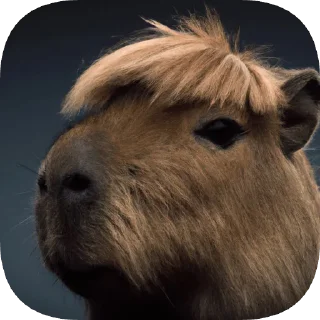 Sticker Капибарность @Capybaraness - 10