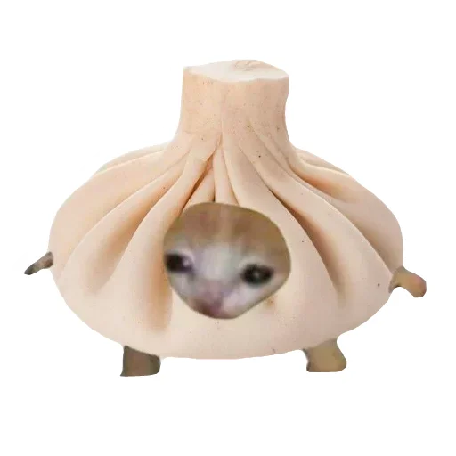 Cat food🍅🥬🍄🥒🥦 - 