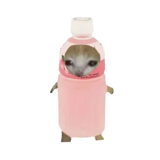 Стикер Cat food🍅🥬🍄🥒🥦 - 11