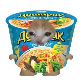 Стикер Cat food🍅🥬🍄🥒🥦 - 5