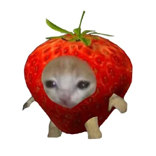 Стикер Cat food🍅🥬🍄🥒🥦 - 3