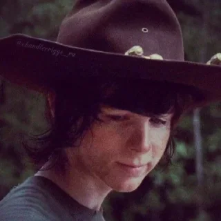 Sticker @TWD_FAN | Carl Grimes - 11