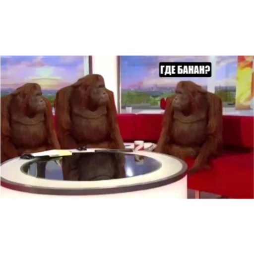 Sticker CarsHuyars - 1