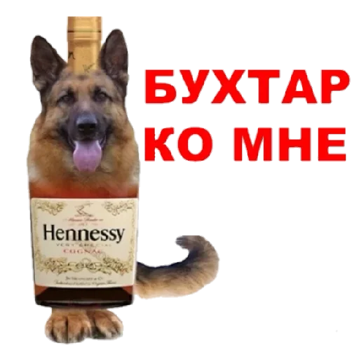 Стикер CarsHuyars - 1