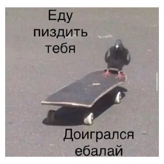 Sticker CarsHuyars - 5