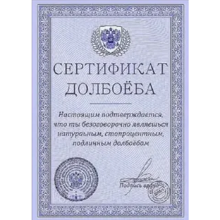 Sticker CarsHuyars - 7