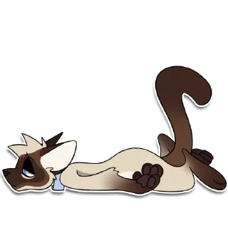 Sticker Cas Kitty - 7