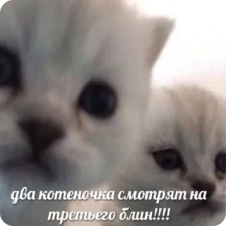 Sticker Лучшие стикеры—@lovesticers - 10