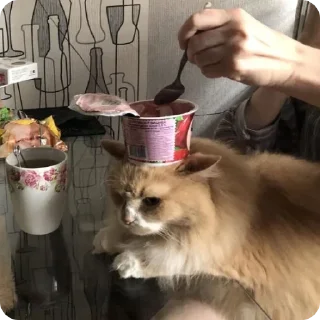 Sticker Лучшие стикеры—@lovesticers - 2