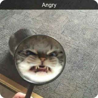 Sticker Лучшие стикеры—@lovesticers - 3