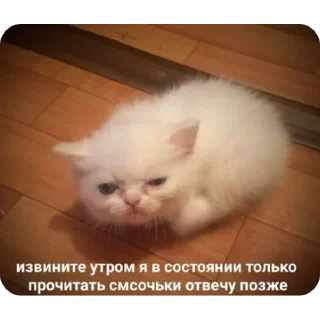 Sticker Лучшие стикеры—@lovesticers - 9