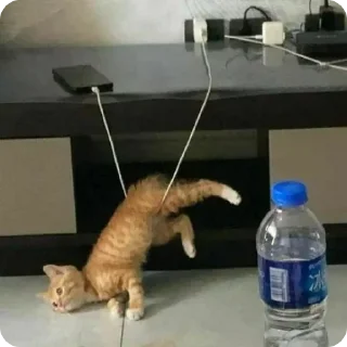 Sticker Лучшие стикеры—@lovesticers - 7