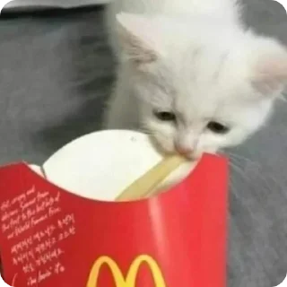 Sticker Лучшие стикеры—@lovesticers - 1