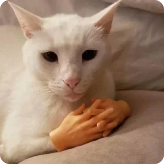 Sticker Лучшие стикеры—@lovesticers - 6