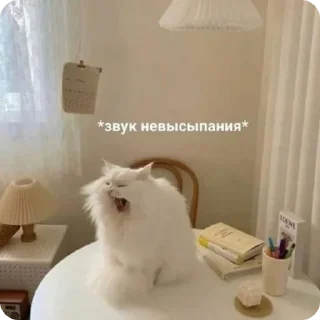 Sticker Лучшие стикеры—@lovesticers - 4