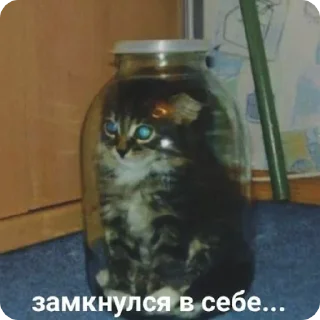 Sticker Лучшие стикеры—@lovesticers - 11