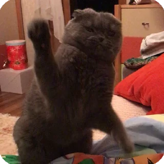 Стикер Лучшие стикеры—@lovesticers - 0