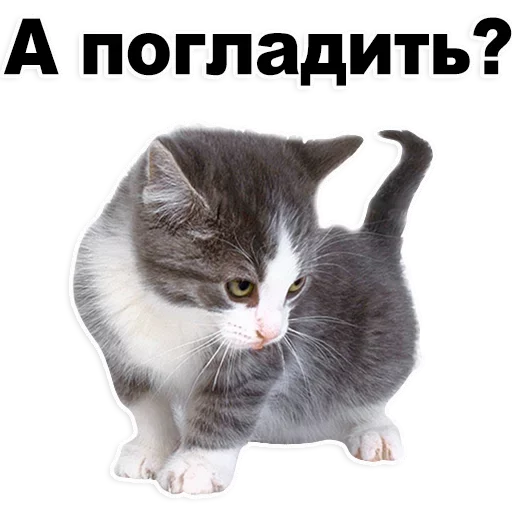 Лучшие стикеры-@lovesticers - 