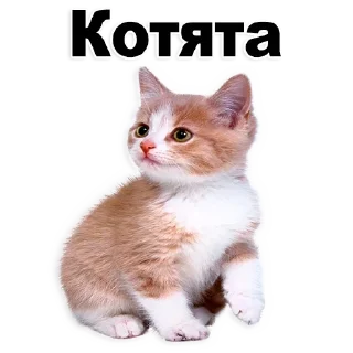 Стикер Лучшие стикеры-@lovesticers - 3