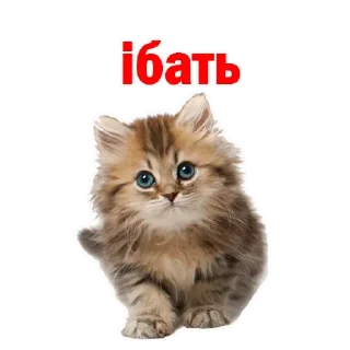 Стикер Лучшие стикеры-@lovesticers - 7