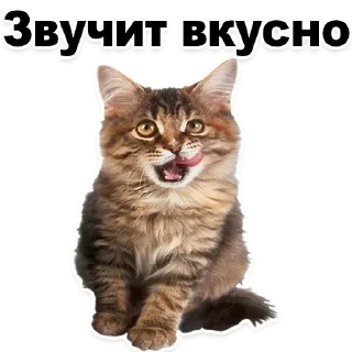 Стикер Лучшие стикеры-@lovesticers - 11