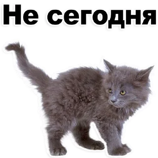 Стикер Лучшие стикеры-@lovesticers - 5