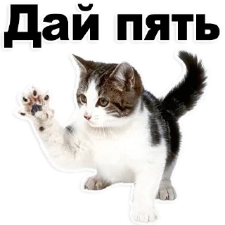 Стикер Лучшие стикеры-@lovesticers - 1