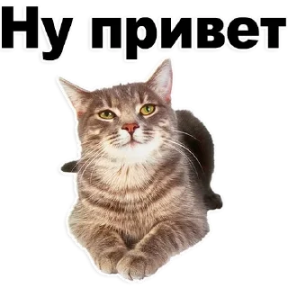 Стикер Лучшие стикеры-@lovesticers - 6