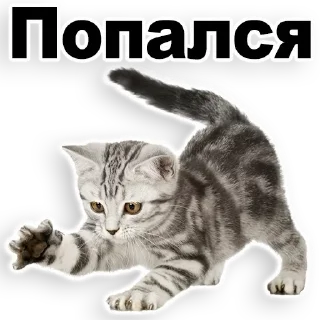 Стикер Лучшие стикеры-@lovesticers - 2