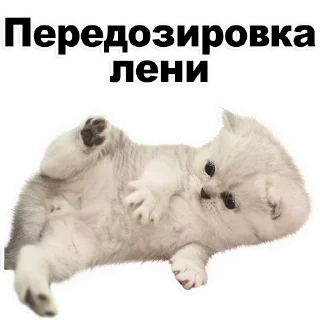 Стикер Лучшие стикеры-@lovesticers - 9