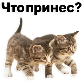 Стикер Лучшие стикеры-@lovesticers - 10