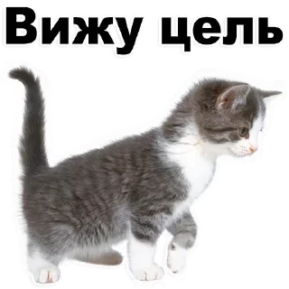 Стикер Лучшие стикеры-@lovesticers - 4