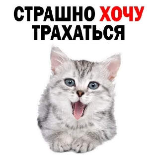 Стикер Лучшие стикеры-@lovesticers - 0
