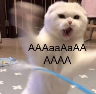 Sticker Лучшие стикеры-@lovesticers - 0