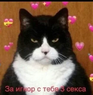 Sticker Лучшие стикеры-@lovesticers - 2