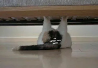 Sticker Лучшие стикеры-@lovesticers - 4