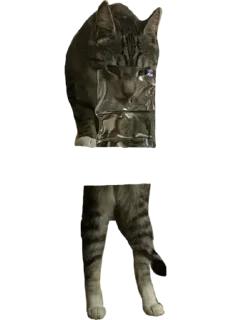 Стикер Альберт 2.0 - 4