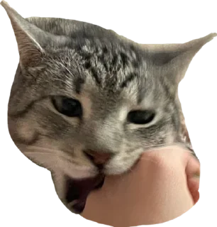 Стикер Альберт 2.0 - 1