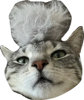 Стикер Альберт 2.0 - 2