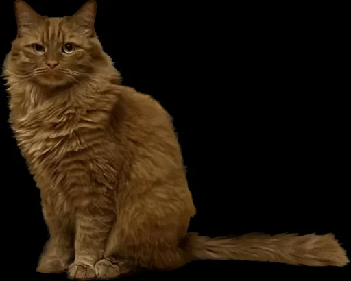 Котенька Брэндан @MoiStikiBot - 