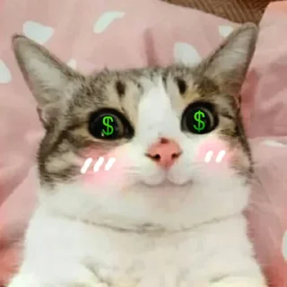 Sticker Котабрь - 7