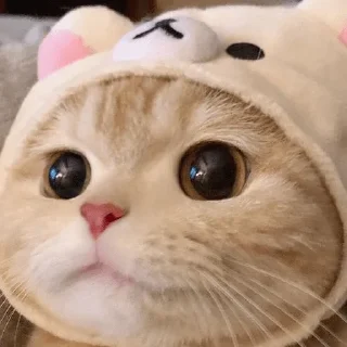 Sticker Котабрь - 10