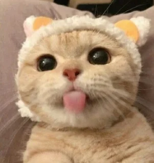 Sticker Котабрь - 11