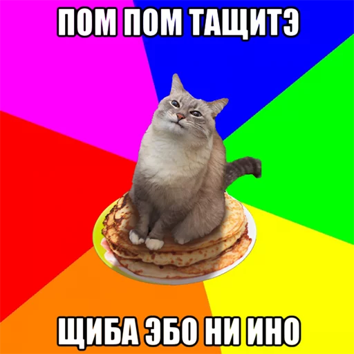 кошки малого и среднего размера кошка кошачьи