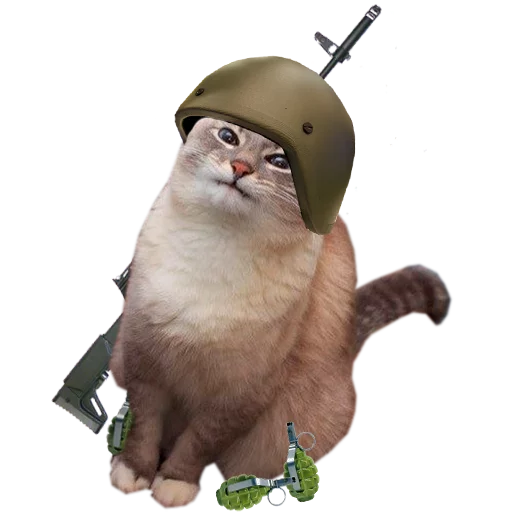 животное кошка млекопитающее