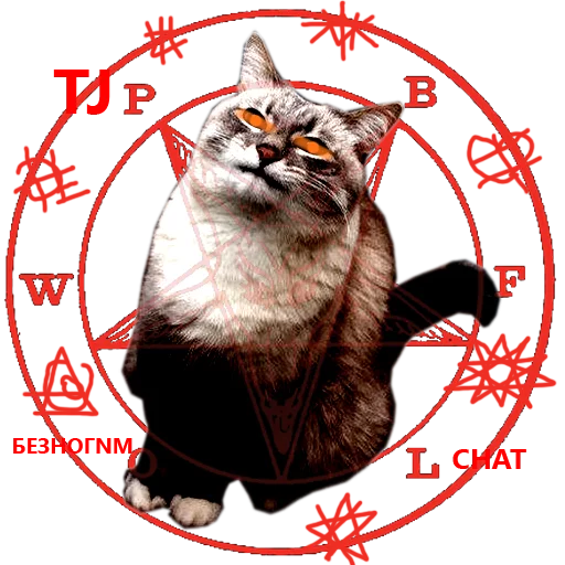 кошка кошки малого и среднего размера домашняя кошка