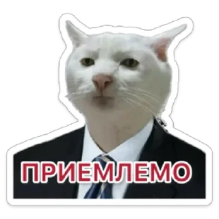 Sticker Business Cat - 1